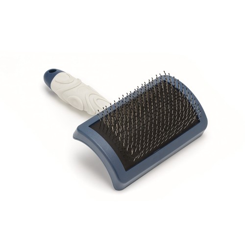 Mikki dog puppy grooming - dog,