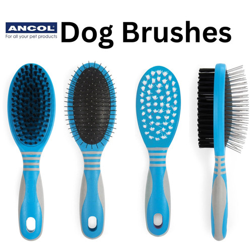 Ancol ergo dog cat - ancol,